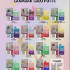 LANA bar 5000 puffs