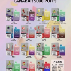 LANA bar 5000 puffs