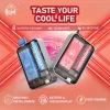 hebat 10000 puffs 拋棄式電子煙