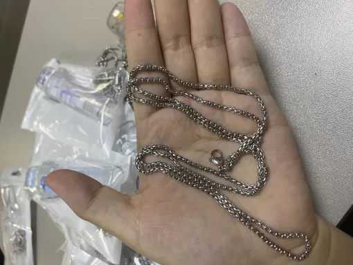 sp2s主機保護殼