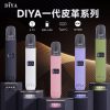 diya一代皮革主機