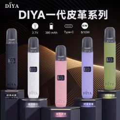 diya一代皮革主機