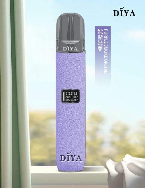 叮啞皮革主機
