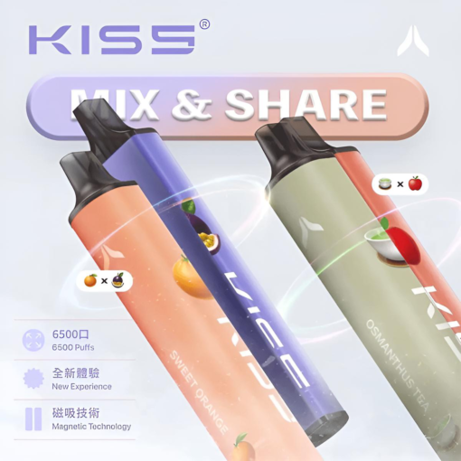 凱斯5號電子煙