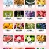 哈門霧化彈