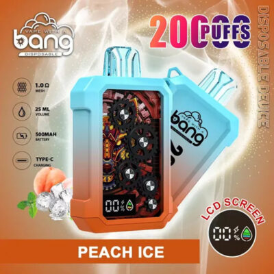 拋棄式電子煙