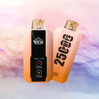 bang 25000 puffs拋棄式電子煙