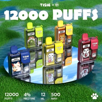 TISIC 12000 Puffs拋棄式電子煙