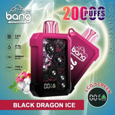 拋棄式電子煙
