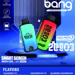 bang dualmesh電子煙
