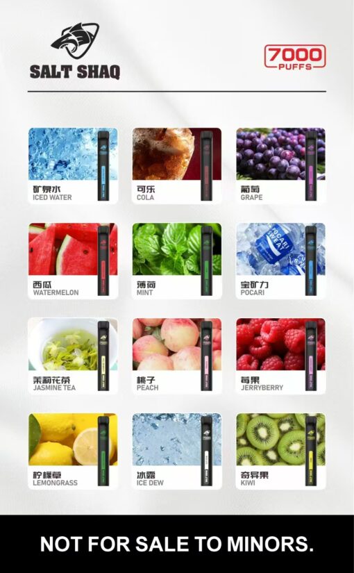 salt shaq拋棄式電子煙